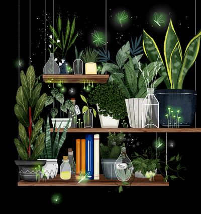 plants