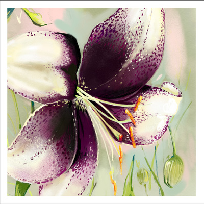 lily-01-jpg