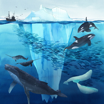 artic-iceburg-flat-jpg