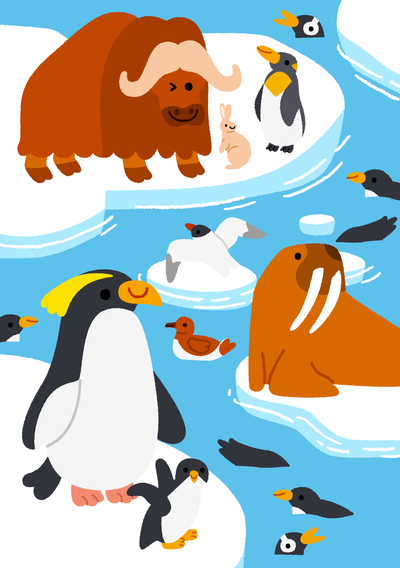 arctic-jpg