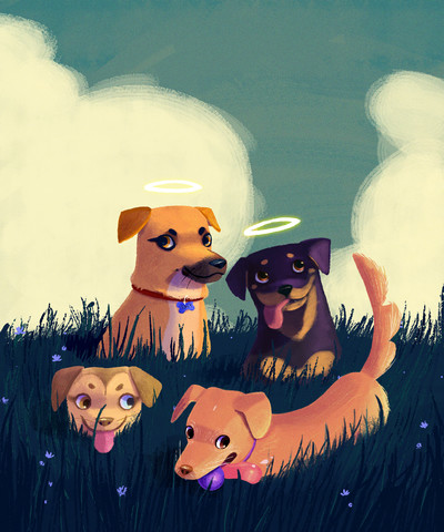 dogs-pets-grass-0-5-jpg