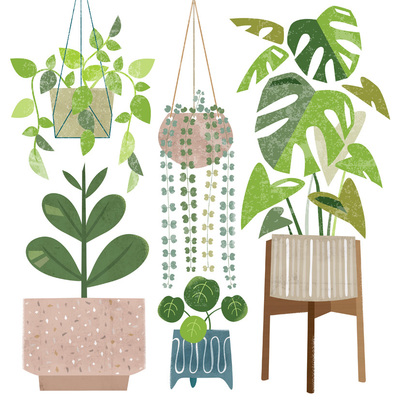 houseplants-lr-jpg
