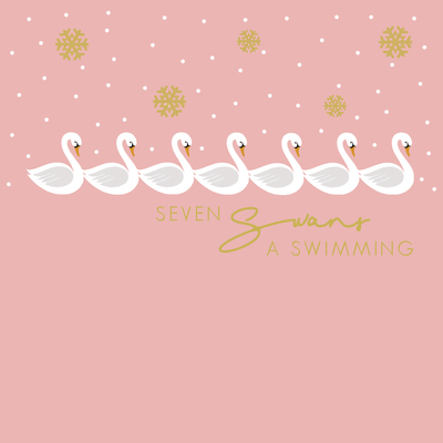 swans-a-swimming-sugar-plum-lizzie-preston-jpg