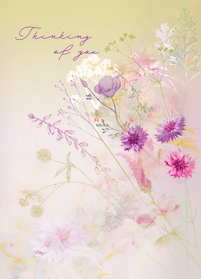 lsk-hazy-meadow-floral-cornflower-field-jpg