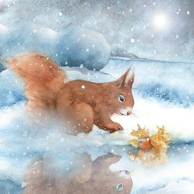 squirrel-hazelnut-snow-sunlight-hazy-jpg