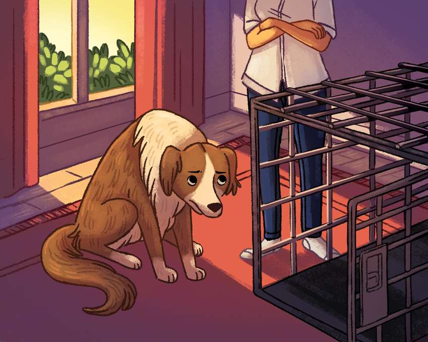 Dog_Sad_Cage_Animals_Pets_MichelleSimpson-min.jpg