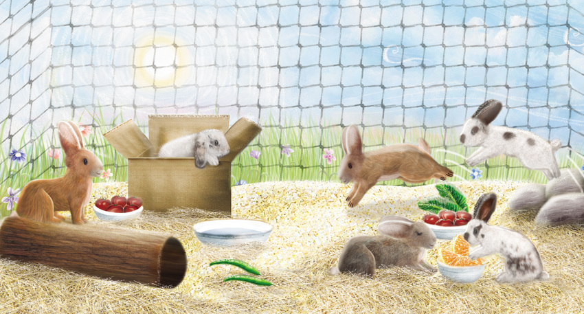 Nip_it_Dig_it_rabbits.jpg