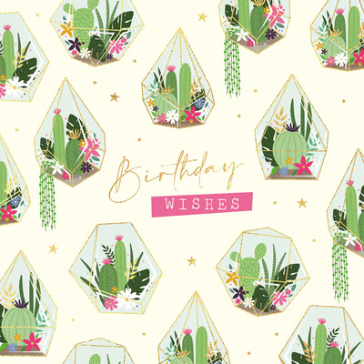 scattered-terraniums-lizzie-preston-jpg