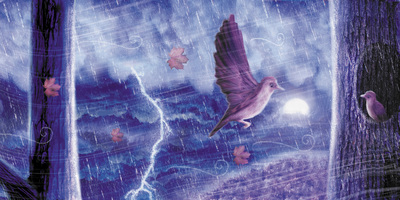 bird-storm-jpg