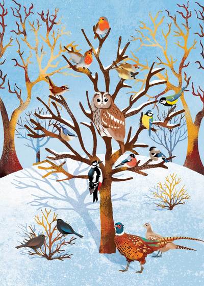 winter-birds-2b-jpg
