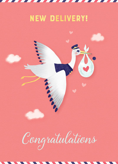 new-baby-girl-baby-shower-stork-with-baby-jpg