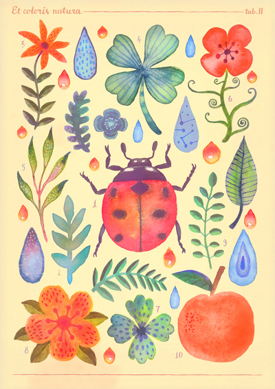 watercolor-hand-painted-ladybug-floral-nature-animals-jpg