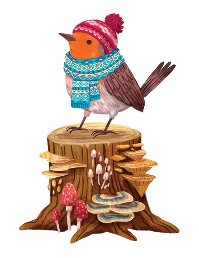 cozy-winter-robin