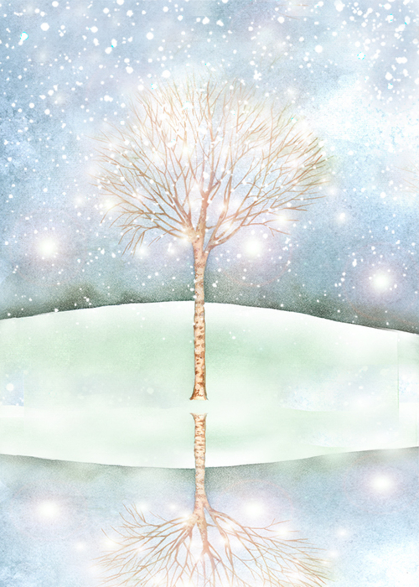 Christmas Lights.jpg