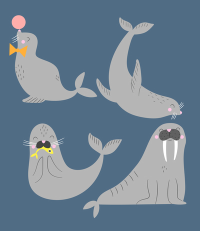 ap-under-the-sea-walrus-and-seals-character-design-baby-book-jpg