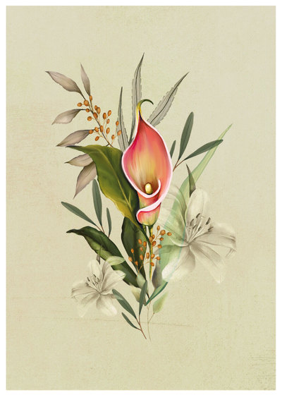 botanica-01-jpg