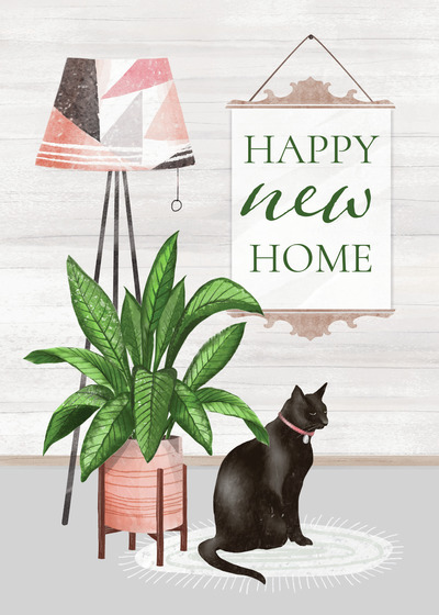 00678-dib-new-home-cat-jpg