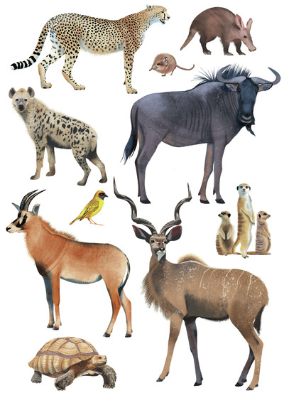 savannah-animals