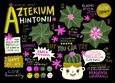aztekium-hintonii-cactus-infographic-magazine-lettering-handwriting-colour-palette-calligraphy