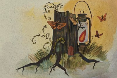 fall-tree-stump