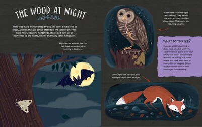 nightime-jpg