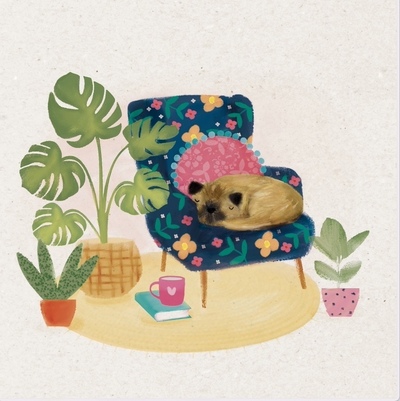 doginchair-jpg