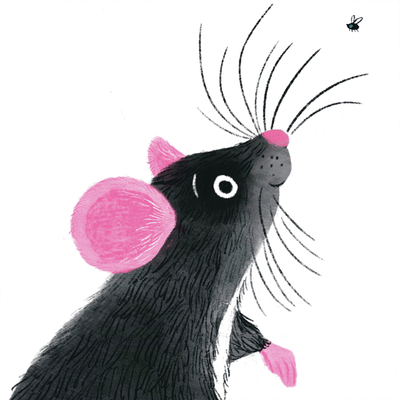 ah23-38-rat-fly-animals-insects-friends-sweet-jpg