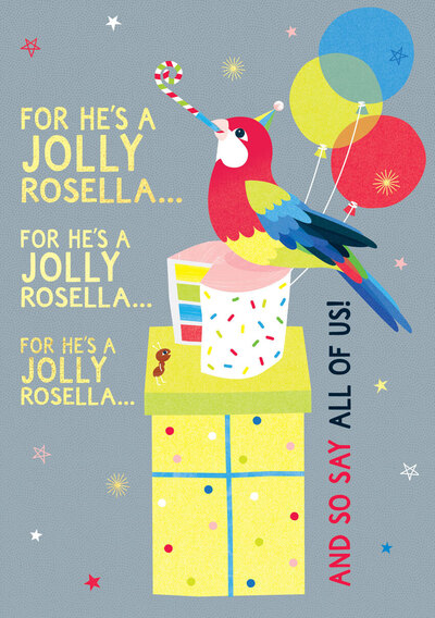 bb056-for-hes-a-jolly-rosella-comic-humour-birthday-jpg