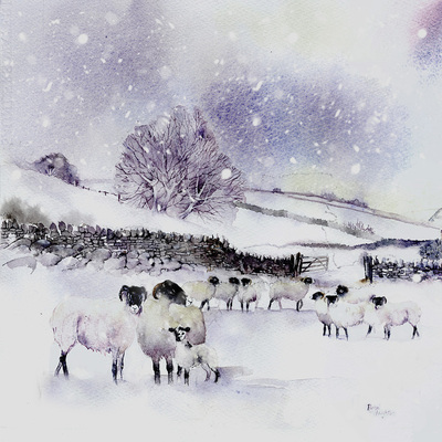 sheep-in-the-snow-jpg