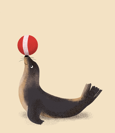 seal-ball-jpg