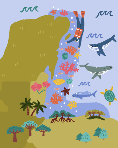 tropica-reef-map-coral-diving-sealife-advocate-art-jpg