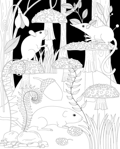 lineart-coloring-book-toadstool-mouse-vole-jpg