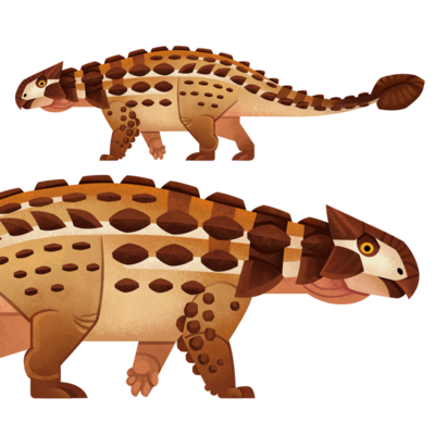 aan-ankylosaurus-png