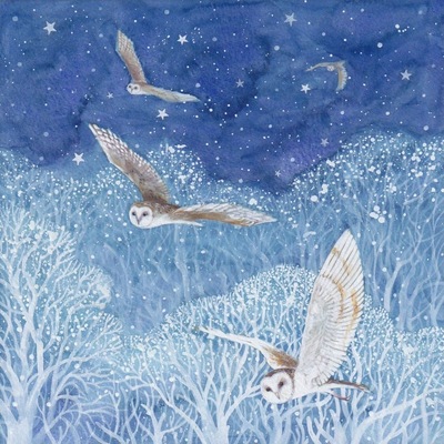 owls-jpeg
