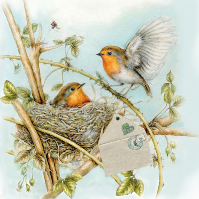 card-valentine-birthday-robin-bird-jpg