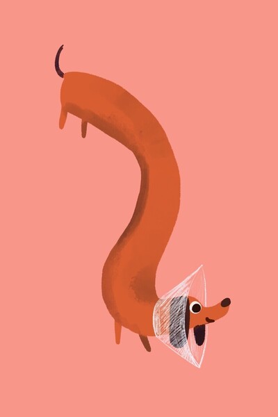 sausage-dog-2