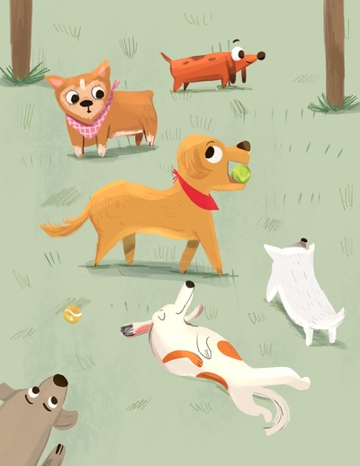 dogs-in-park