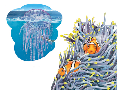 animal-frog-spider-jellyfish-fish-snake-jpg