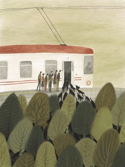 wolves-train-stations