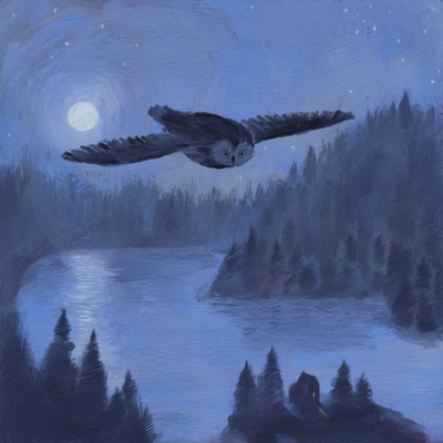 owl-13008