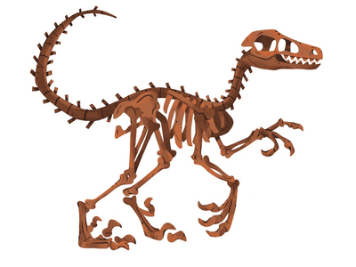 34-velociraptor-skeleton-v01-jpg