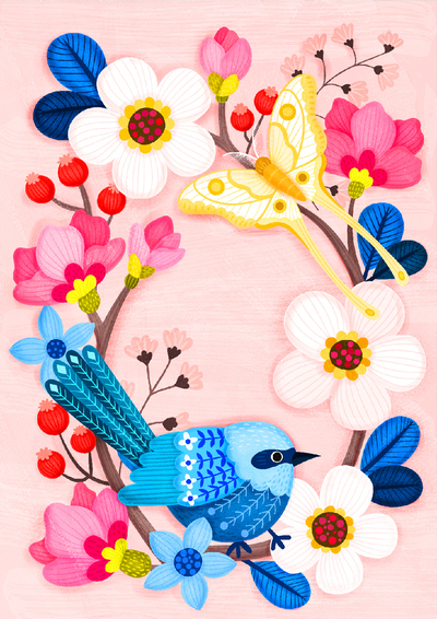 adv-livwan-bluefairywren-bird-illustration-copy-jpg