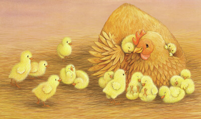 barnyard-bedtime-colour-sp3-chicks-cropped-jpg