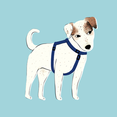 ah-dog-animal-terrier-character-jpg