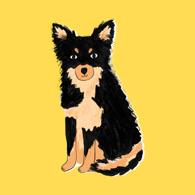 ah-dog-animal-chihuahua-fluffy-character-jpg