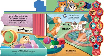 pets-p2-jpeg