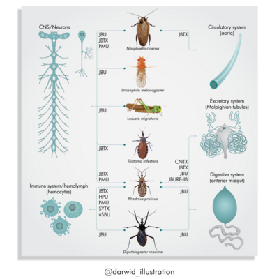 insecticide