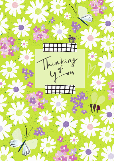 thinking-of-you-daisies