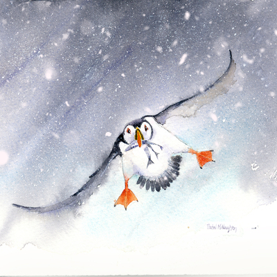 tricky-landing-puffin-jpg