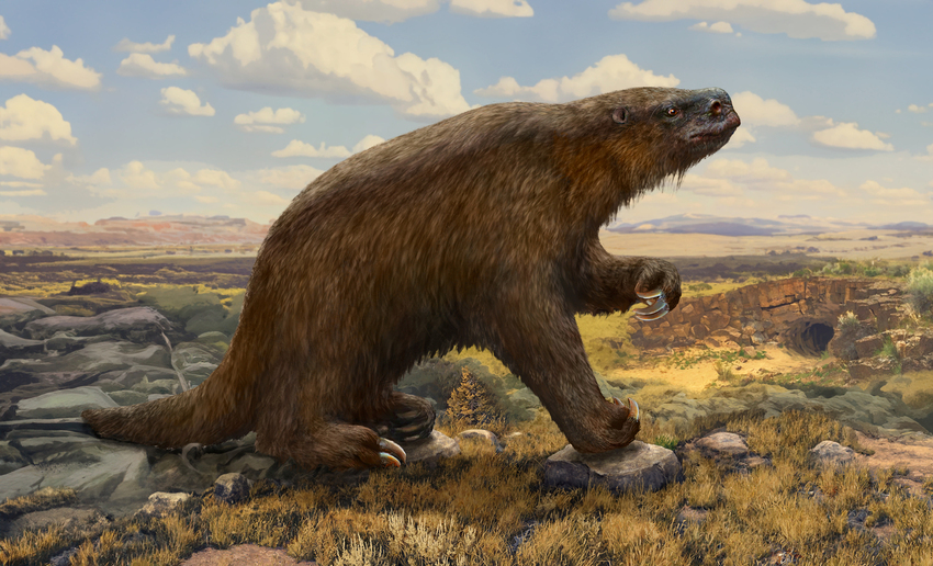 Giant Sloth.jpg